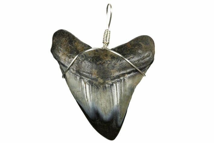 Fossil Megalodon Tooth Necklace #173809